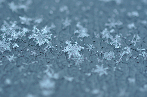 The snowflake method of writing: a ten step process. by 